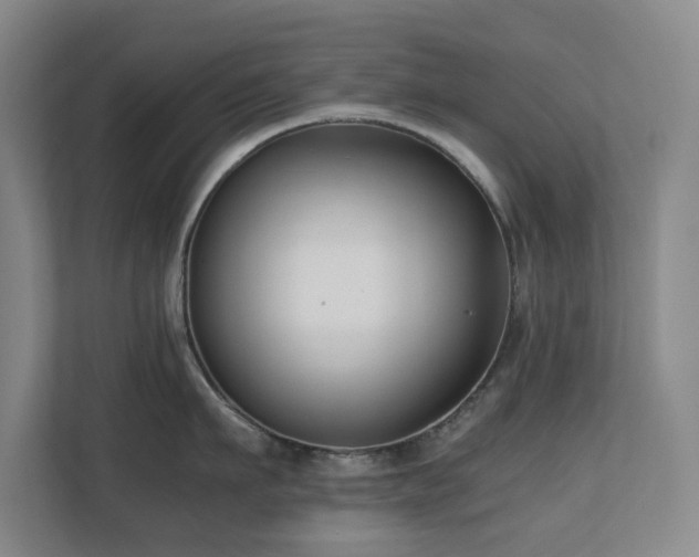 X0000110770911200906151323