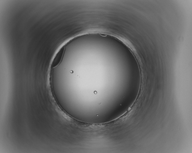 X0000110770912200906151323