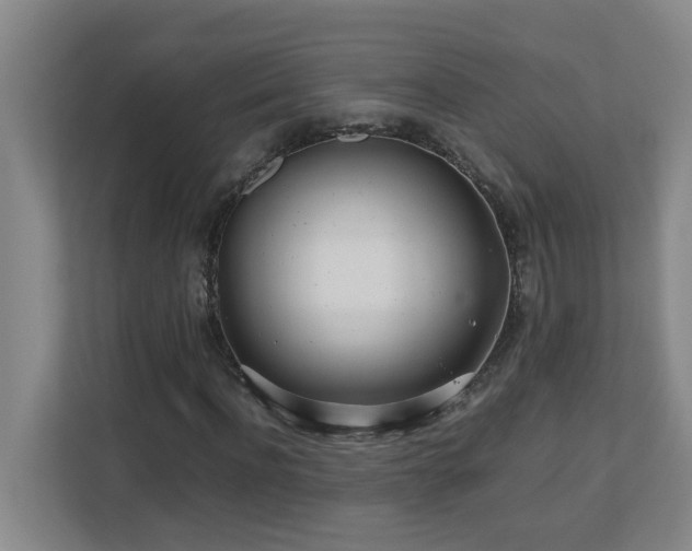 X0000110770916200906151322