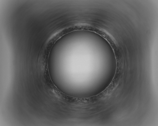 X0000110770919200906151322