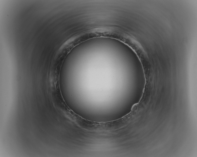 X0000110770920200906151323