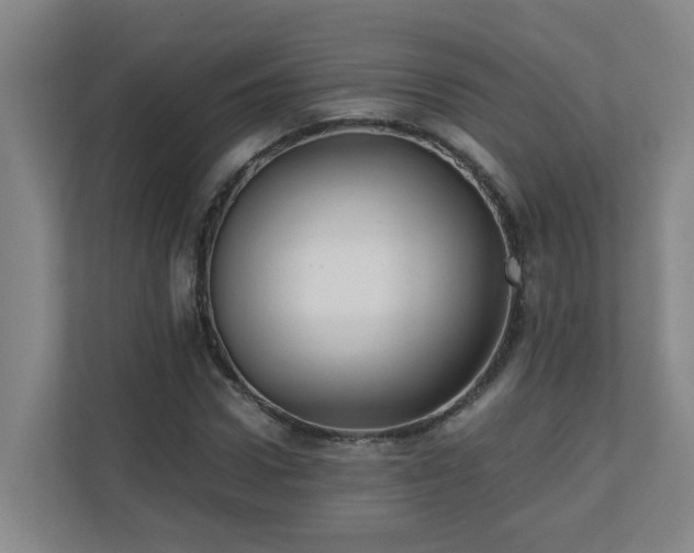 X0000110770922200906151323