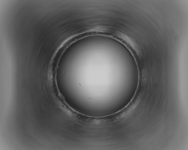 X0000110770923200906151323