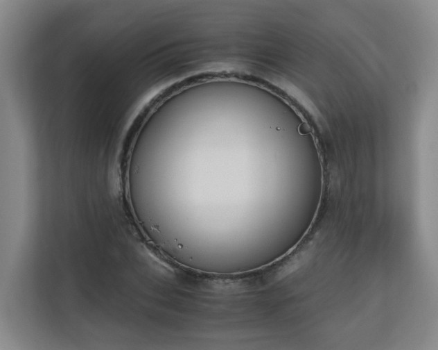 X0000110770927200906151323