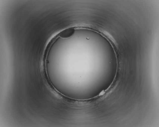 X0000110770928200906151323