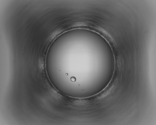 X0000110770929200906151323