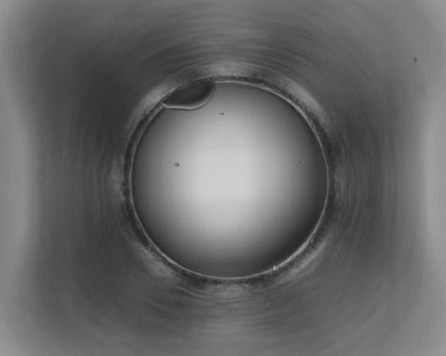 X0000110770930200906151323