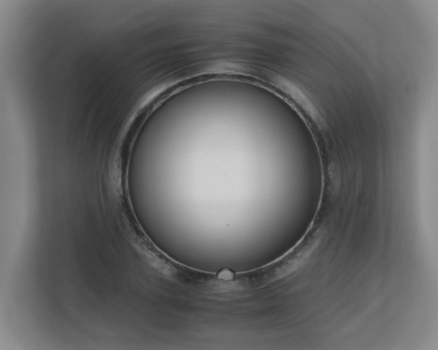 X0000110770931200906151323