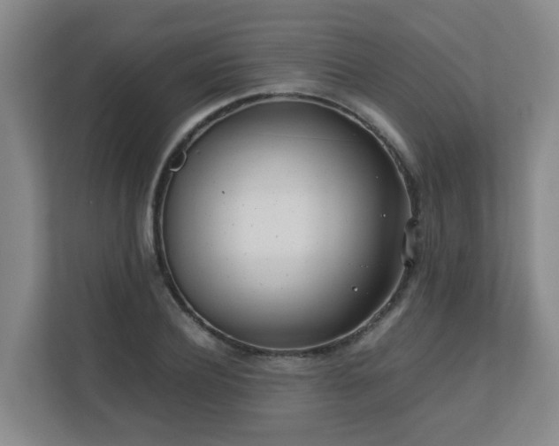 X0000110770932200906151323