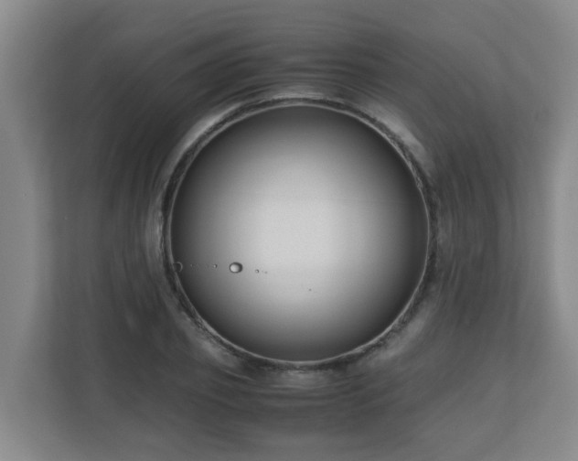 X0000110770933200906151323