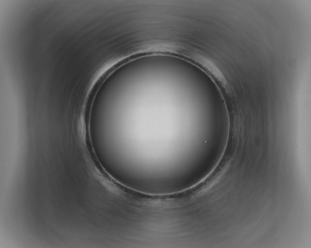 X0000110770936200906151323