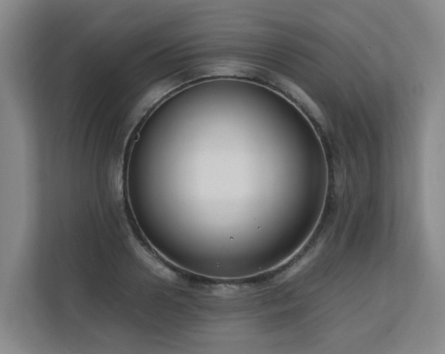 X0000110770938200906151323