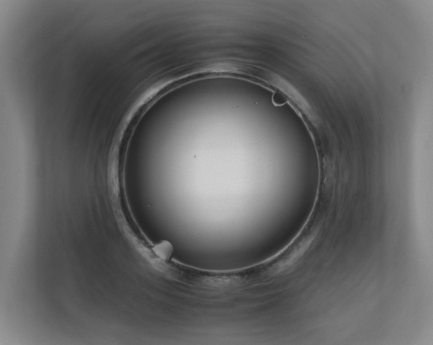 X0000110770939200906151323