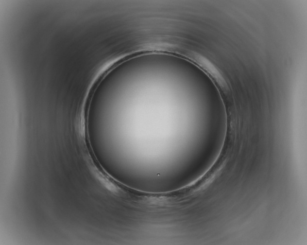 X0000110770940200906151323