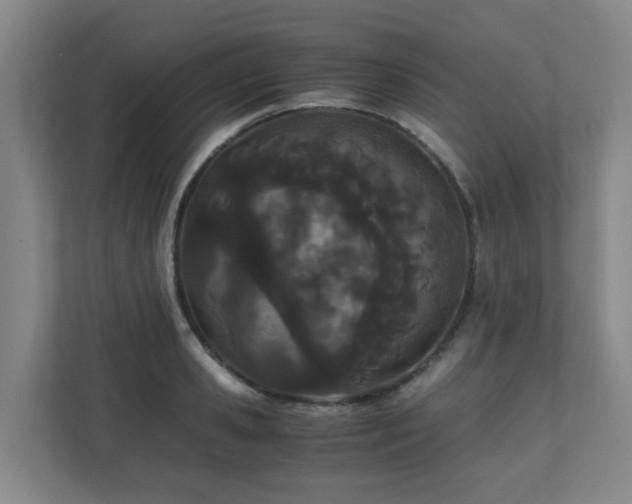 X0000110770941200906151323