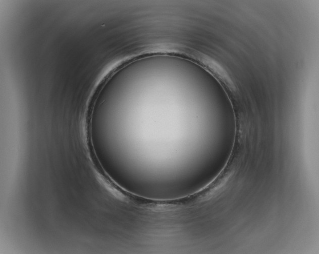 X0000110770942200906151323