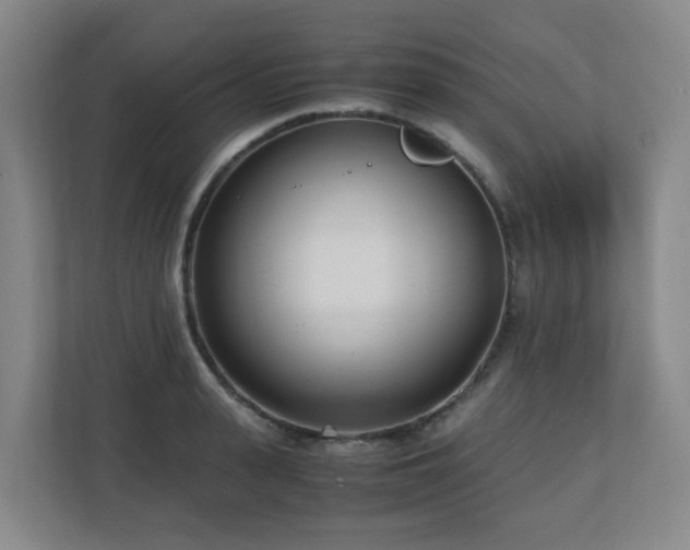 X0000110770943200906151323