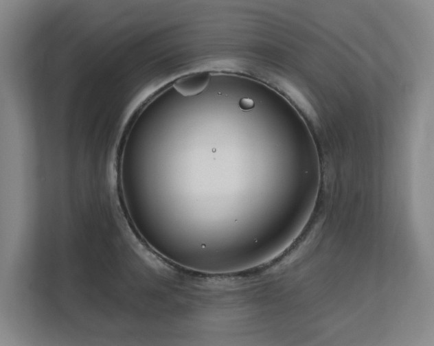 X0000110770944200906151323