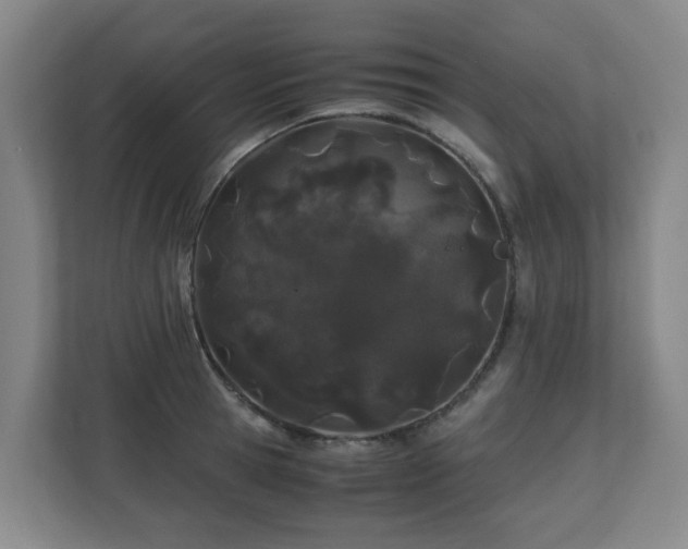 X0000110770945200906151323