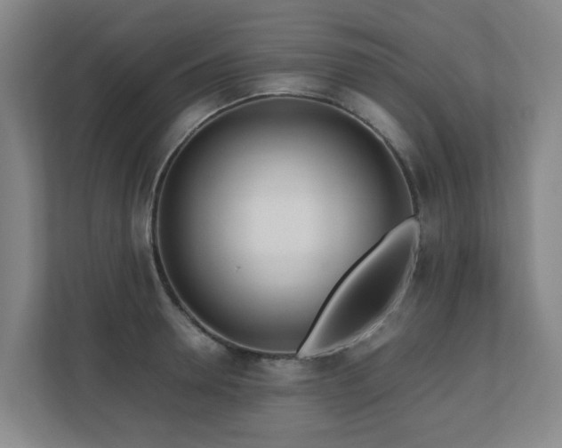 X0000110770946200906151323