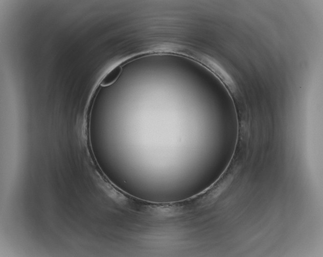 X0000110770948200906151323