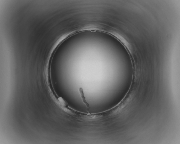 X0000110770949200906151323