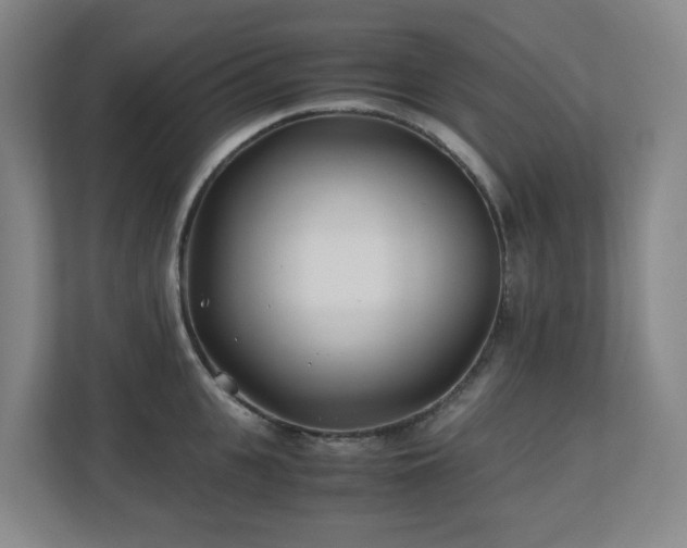 X0000110770951200906151323