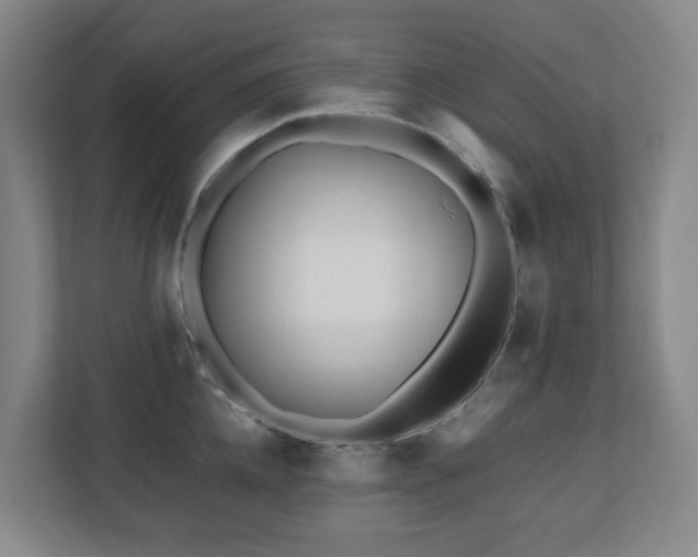 X0000110770952200906151323