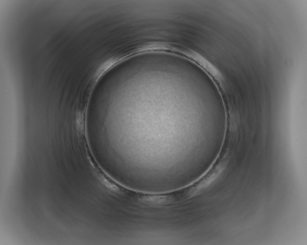 X0000110770953200906151323