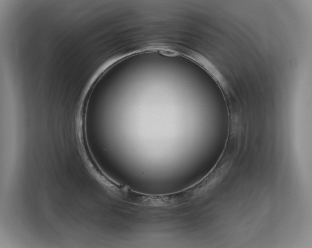 X0000110770955200906151323