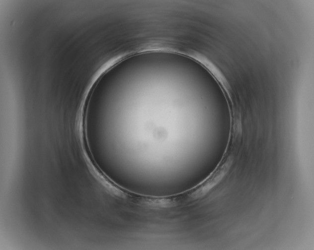 X0000110770957200906151323