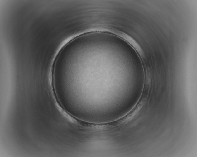 X0000110770958200906151323