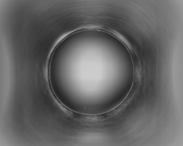 X0000110770959200906151323