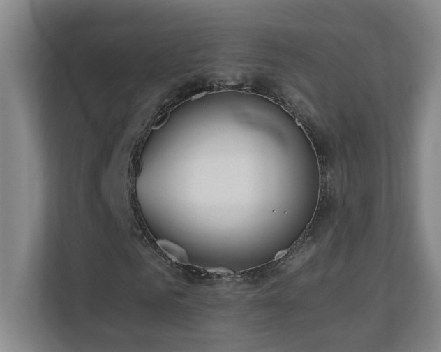 X0000110770961200906151322