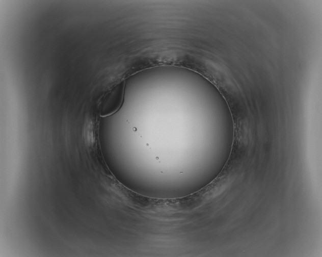 X0000110770962200906151322