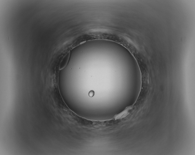 X0000110770965200906151322