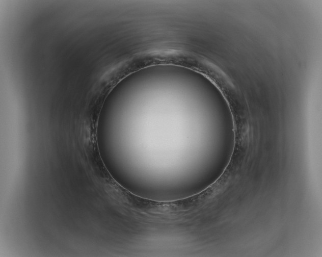 X0000110770966200906151322