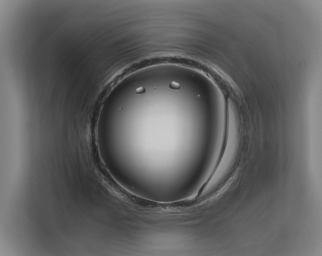 X0000110770969200906151322