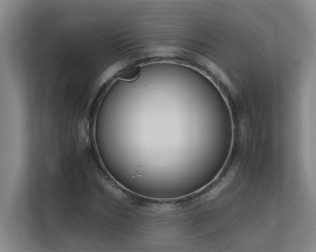 X0000110770970200906151322