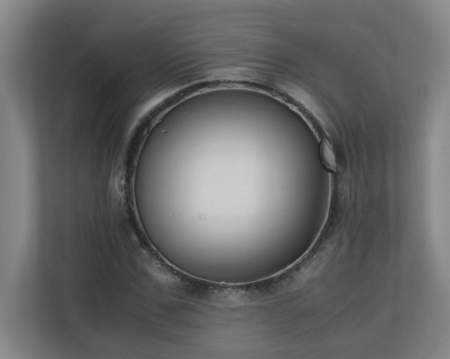 X0000110770971200906151322