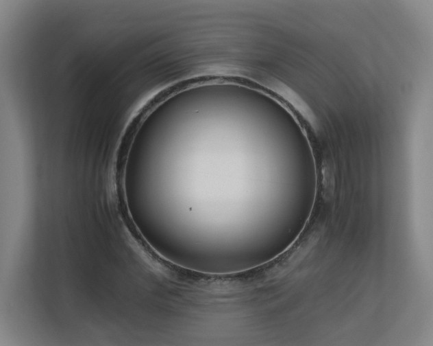 X0000110770972200906151322