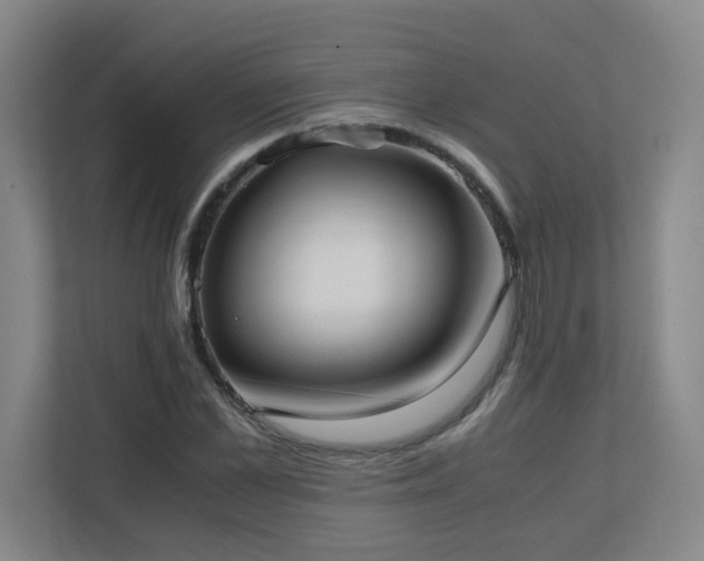 X0000110770973200906151322