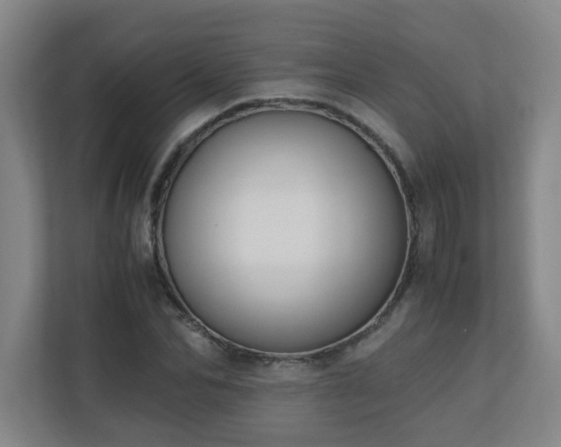 X0000110770974200906151322