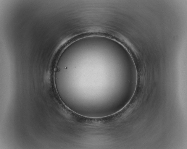 X0000110770975200906151322