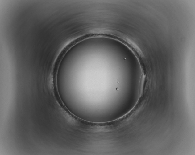 X0000110770976200906151322