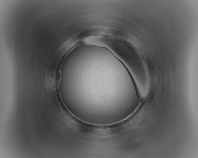 X0000110770977200906151322