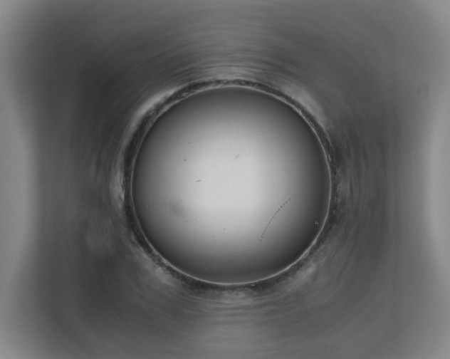 X0000110770979200906151322