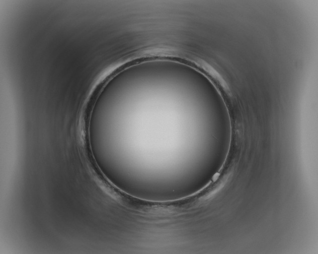 X0000110770981200906151322