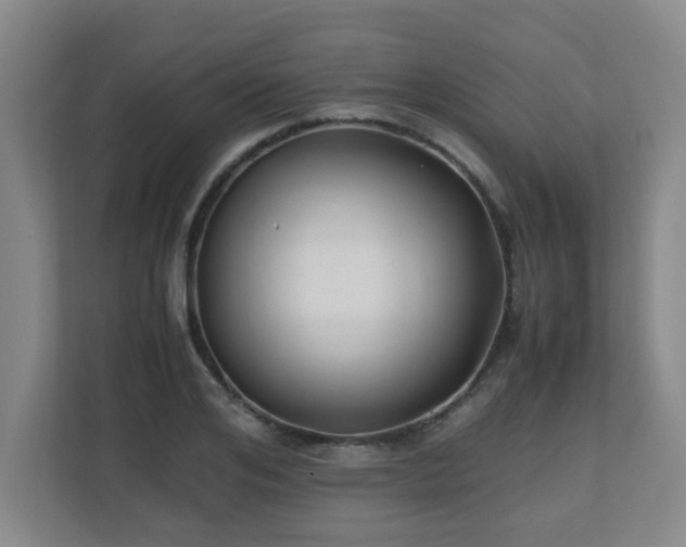 X0000110770984200906151322