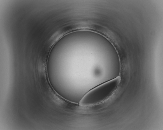 X0000110770985200906151322